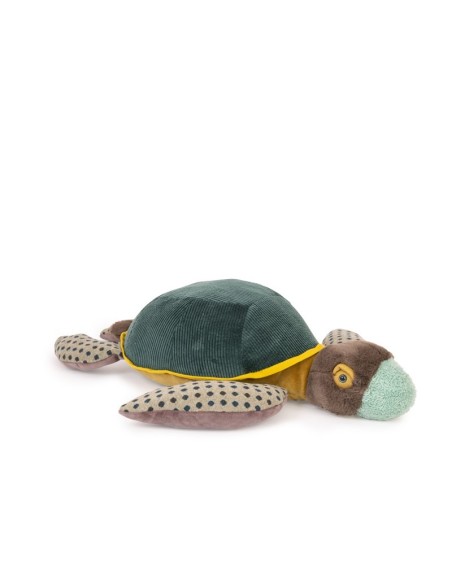 Tortuga grande, colección Tout autour du monde