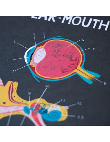 Juego didáctico Inside Me