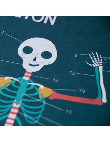 Juego didáctico Inside Me