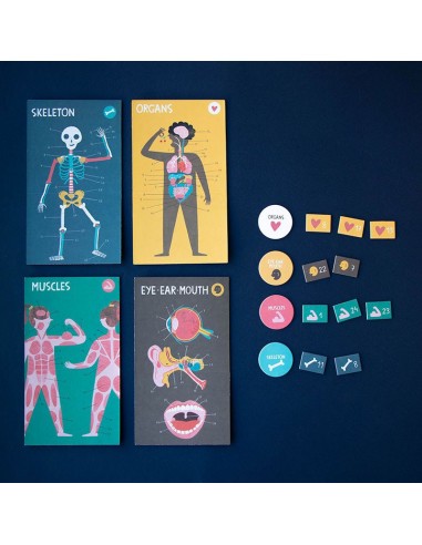 Juego didáctico Inside Me