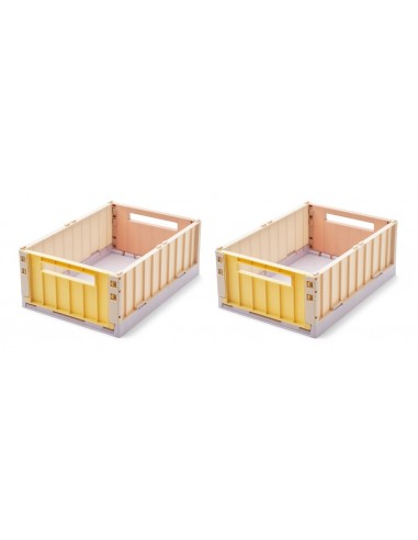 Set de dos cajas de almacenamiento Weston, tamaño mediano, multicolor amarillo