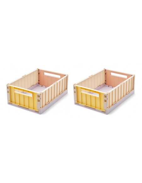 Set de dos cajas de almacenamiento Weston, tamaño mediano, multicolor amarillo