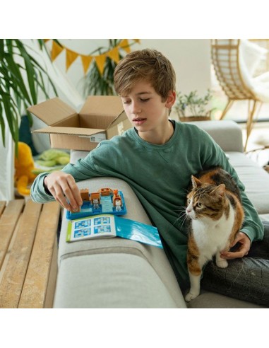 Juego de lógica Gatos y cajas