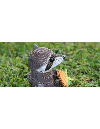 Eugy puzle 3D Mapache