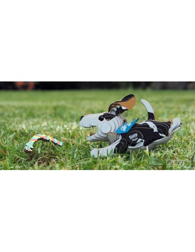 Eugy puzle 3D Perro Hope