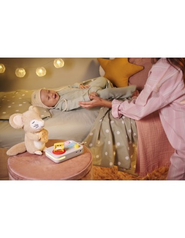 Set de iniciación del cuentacuentos FABA+