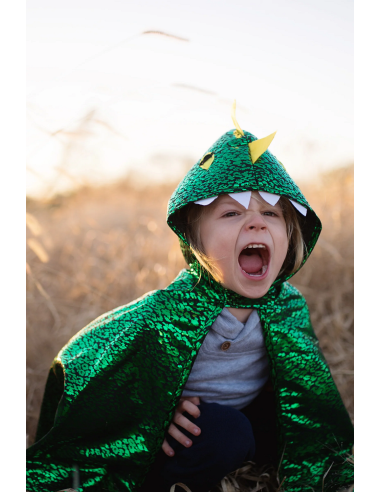 Capa de dragón verde metálico