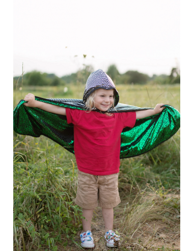 Capa reversible dragón-caballero