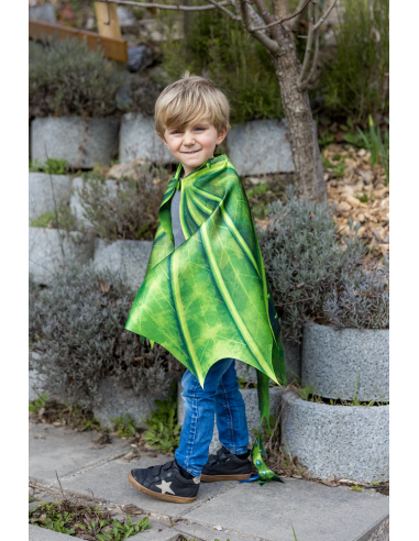 Conjunto de alas flexibles y máscara de dragón legendario