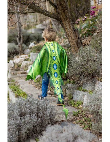 Conjunto de alas flexibles y máscara de dragón legendario