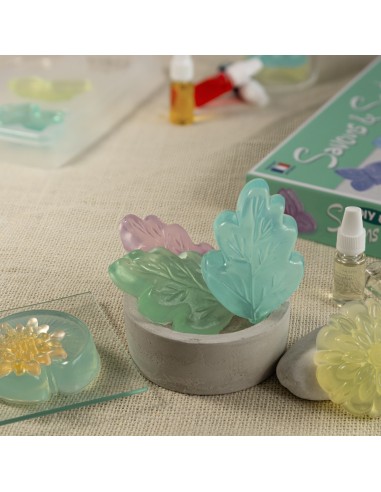 Set para hacer jabones perfumados con formas de naturaleza