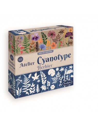 Taller de cianotipia de flores y hojas