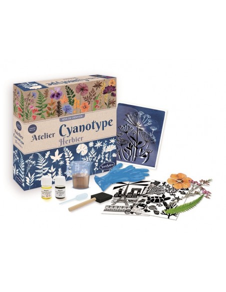 Taller de cianotipia de flores y hojas