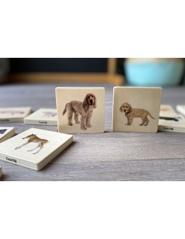 Juego para emparejar animales domésticos