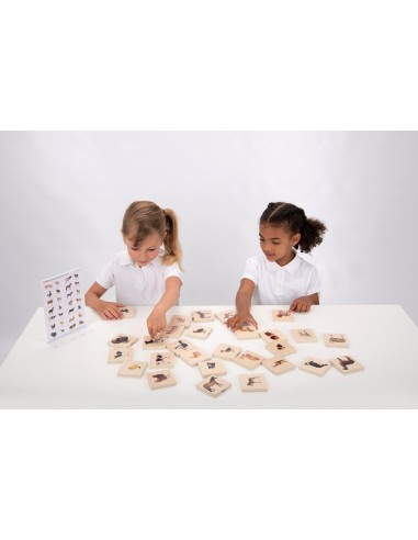 Juego para emparejar animales domésticos