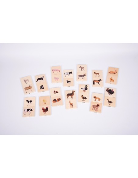 Juego para emparejar animales domésticos