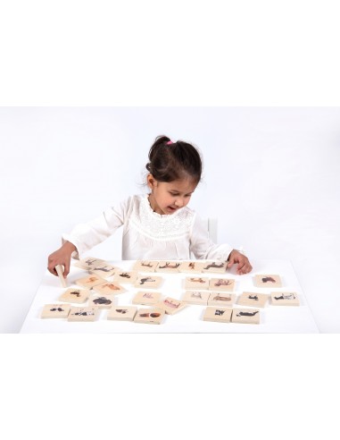 Juego para emparejar animales domésticos