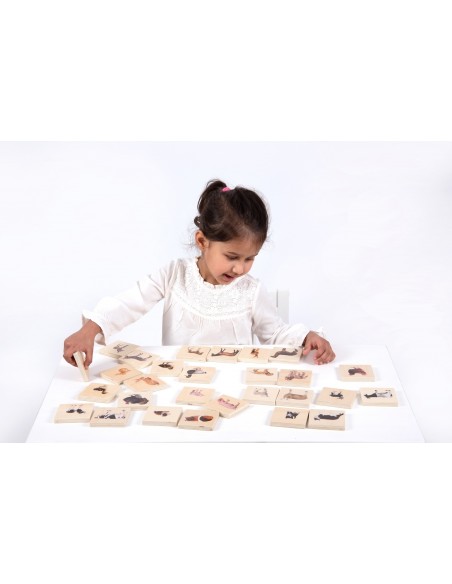 Juego para emparejar animales domésticos