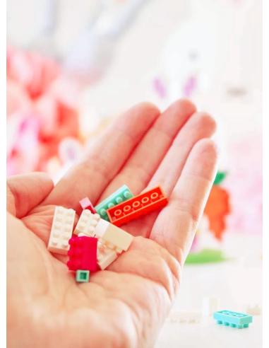 Mini bricks Pascale, 844 piezas