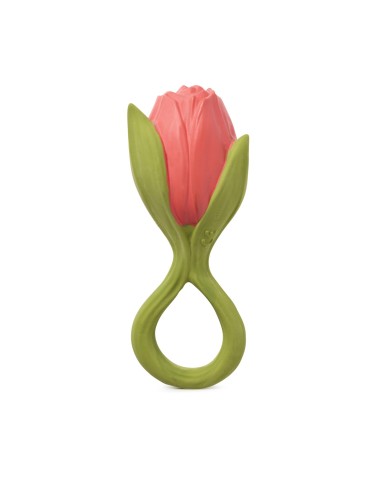 Mordedor Theo the Tulip