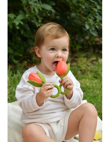 Mordedor Theo the Tulip