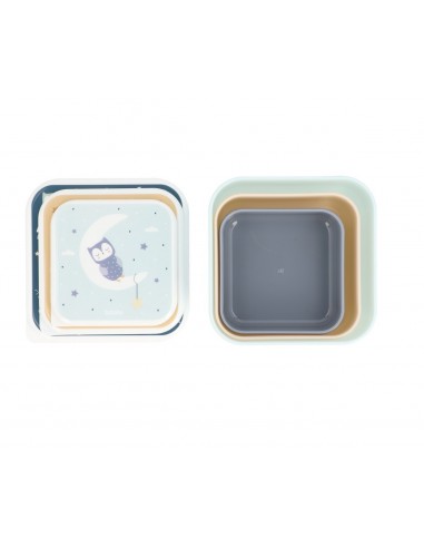 Set de 3 cajas de almuerzo Magical forest