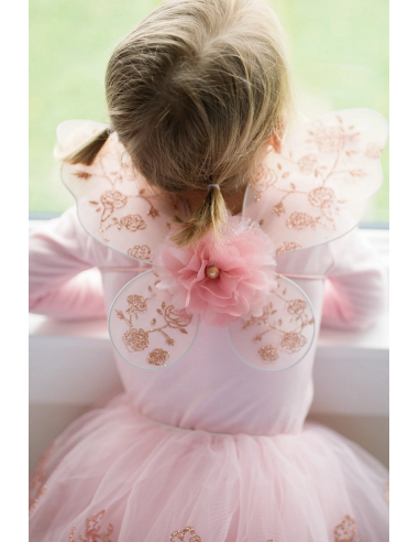 Conjunto de tutú y alas oro rosa