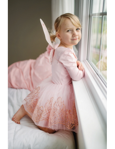 Conjunto de tutú y alas oro rosa