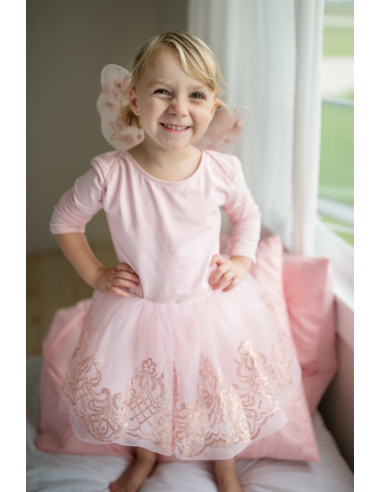 Conjunto de tutú y alas oro rosa