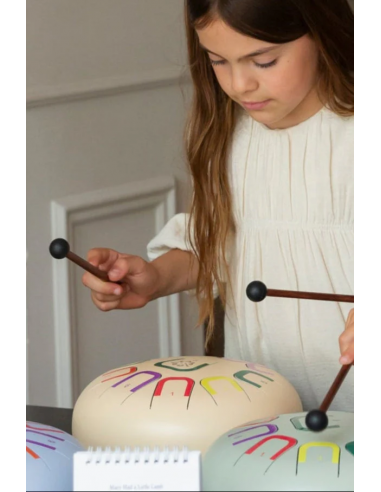 Tambor metálico de lengüetas Tambú+, de 10" y 11 notas, Soul serenity