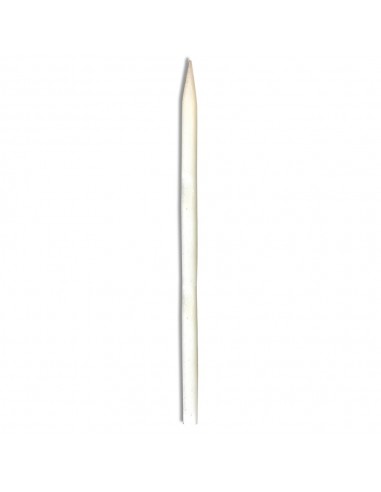 Set para crear siluetas de dinosaurios con scratch