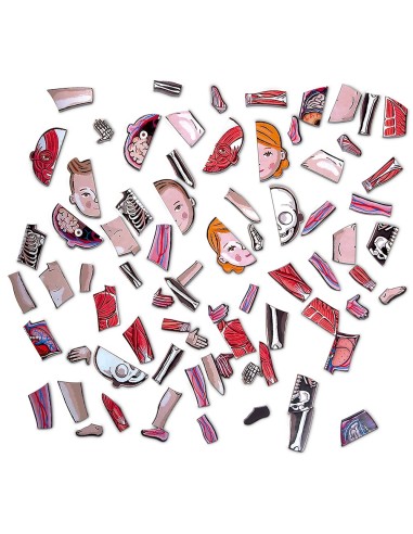 Juego magnético del cuerpo humano