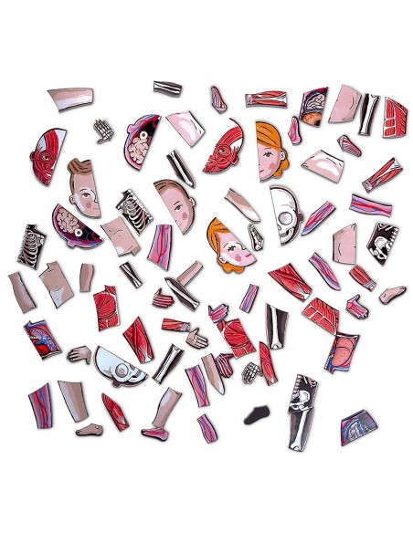 Juego magnético del cuerpo humano