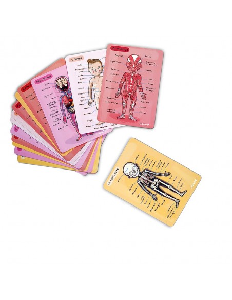 Juego magnético del cuerpo humano