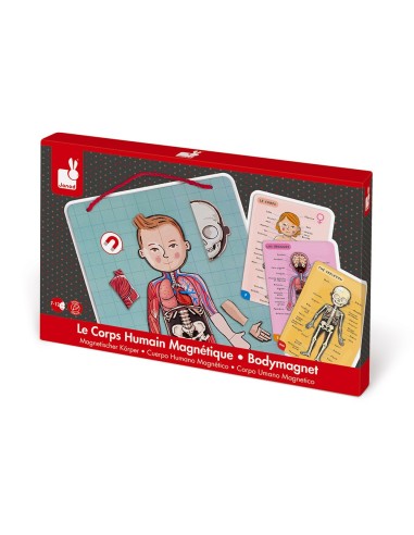 Juego magnético del cuerpo humano