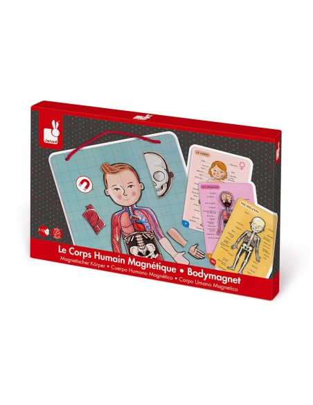 Juego magnético del cuerpo humano