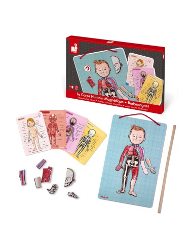 Juego magnético del cuerpo humano