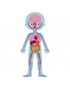 Puzle del Cuerpo humano, de 50, 75 y 100 piezas 2