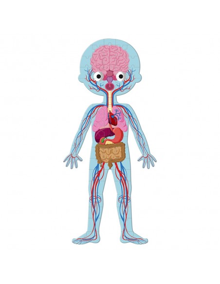 Puzle del Cuerpo humano, de 50, 75 y 100 piezas