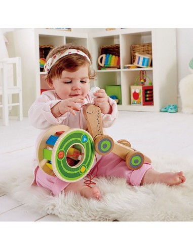 Caracol de madera de arrastre