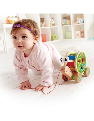 Caracol de madera de arrastre