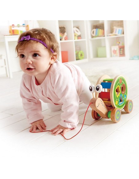 Caracol de madera de arrastre