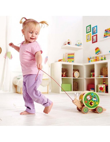 Caracol de madera de arrastre