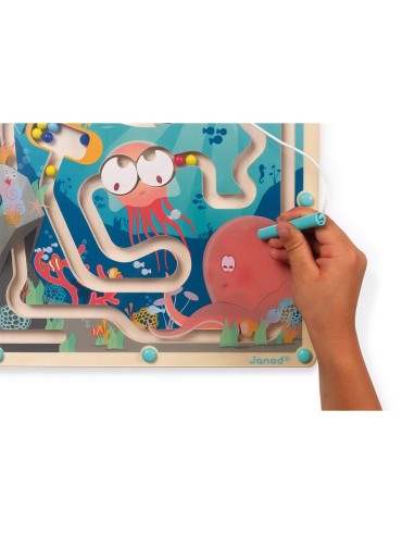 Laberinto magnético del Océano