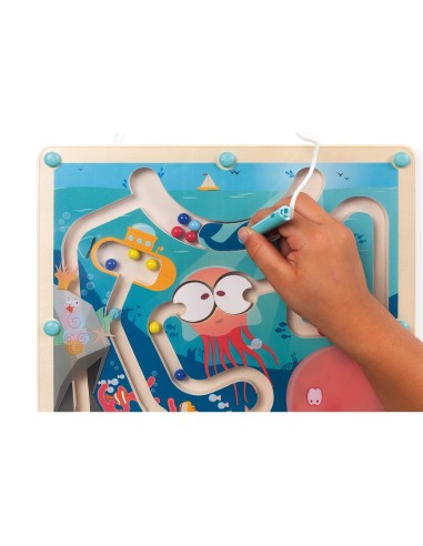 Laberinto magnético del Océano