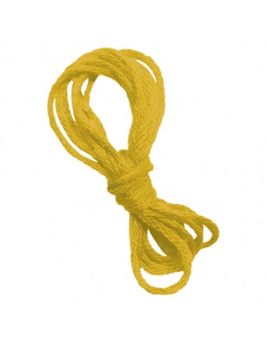 Set de cuadros de animales con hilos tensados