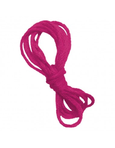 Set de cuadros de animales con hilos tensados