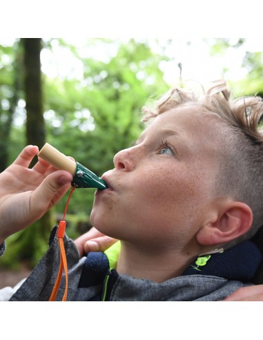 Set de investigación de la naturaleza