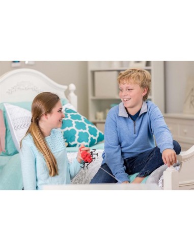 KidzRobotix: robot araña