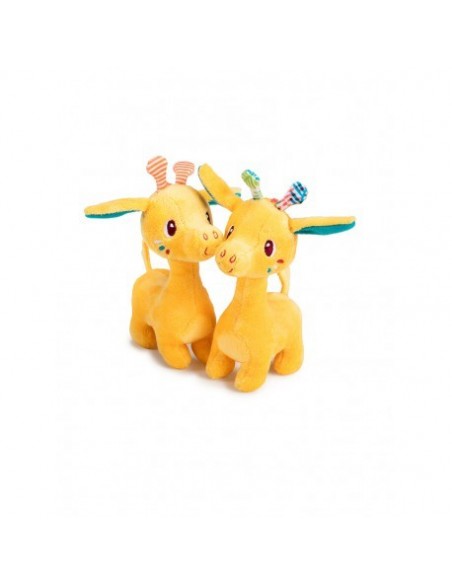 Mi primer arca de Noé